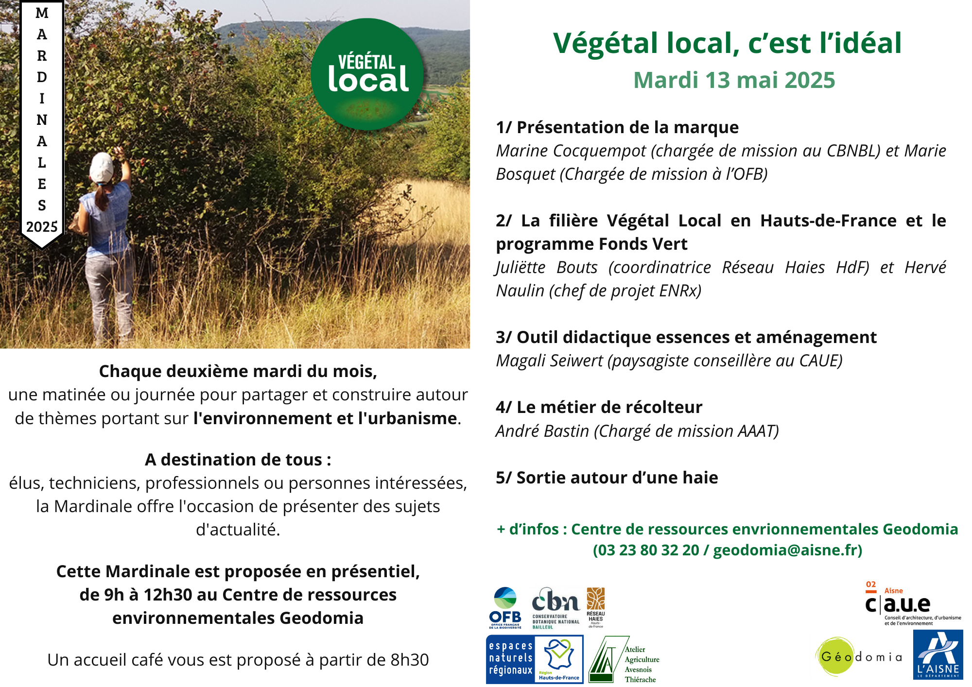 Mardinale Vegetal local   Programme